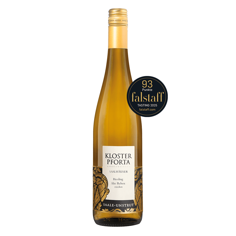 Saalhäuser Riesling – Alte Reben "trocken" - 2023