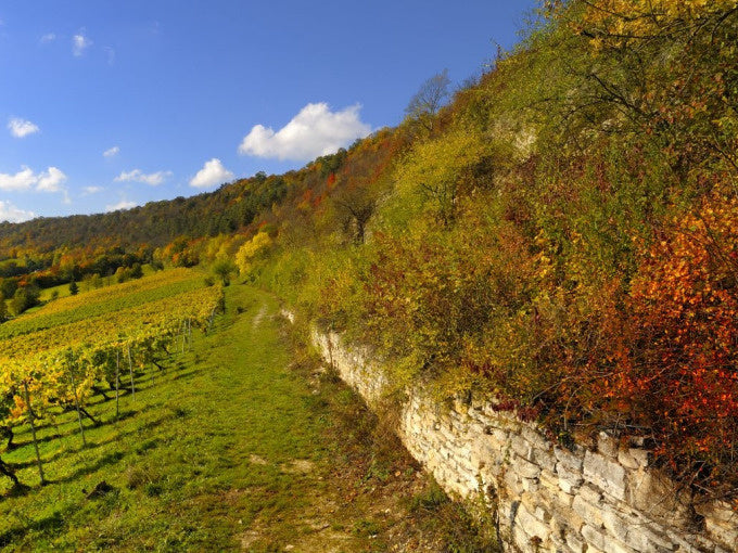 Herbstwanderung