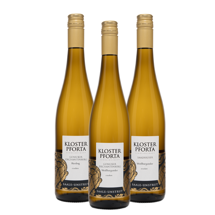 Weinpaket "Gaumengold - neue 2025er Lagenweine"